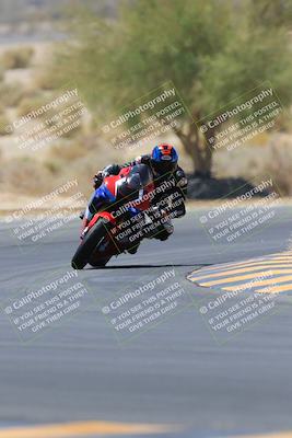 media/May-14-2023-SoCal Trackdays (Sun) [[024eb53b40]]/Turn 5 Tree of Life (1125am)/